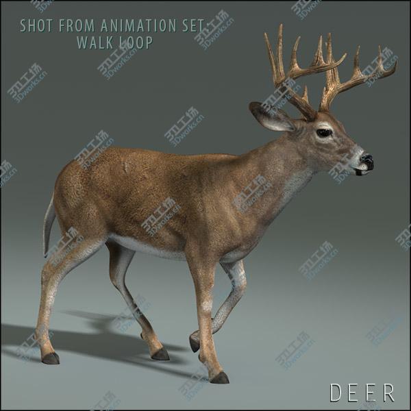 images/goods_img/20210113/Deer (ANIMATED)/3.jpg